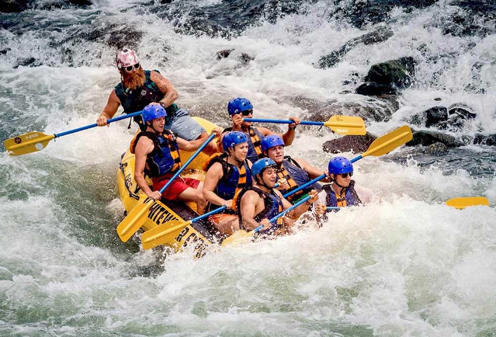 Haritha Lanka Tours